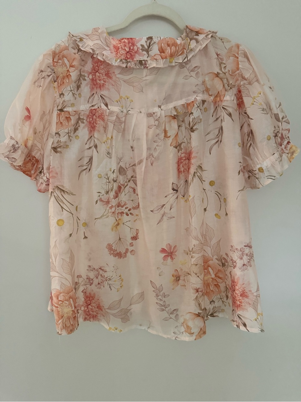 Lucky & Coco Floral Peter Pan Collar Blouse XL Cottagecore Fairy Sheer Top - Picture 5 of 8